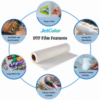 Film de transfert DTF de haute qualité en rouleau 60cm 100m, film PET à pelage à chaud pour impression textile, papier de transfert jet d'encre, feuille de sublimation