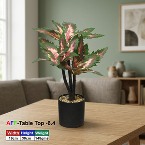 ต้นไม้ประดิษฐ์ชนิดไม้อวบน้ำ โรส วาเรียเกต สำหรับวางบนโต๊ะ - Product Image 3