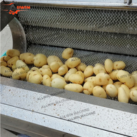 Automatische industriële fruit- en groentewasmachine Cassave Gember Aardappel Schilfuncties SUS304 Hoge efficiëntie 500-2000kg/u