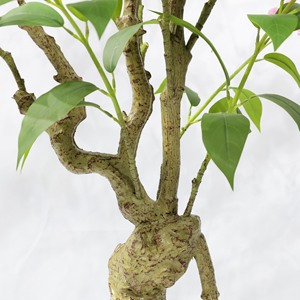 Plantas Verdes Artificiales de Interior, <span class=keywords><strong>Jazmín</strong></span> Colgante <span class=keywords><strong>en</strong></span> <span class=keywords><strong>Maceta</strong></span>, Decoraciones de Piso para Casas de Huéspedes, Adornos de Árboles Artificiales - Product Image 4