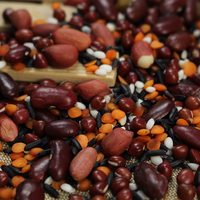 Mélange de céréales pour congee aux sept grains, ingrédients pour porridge, vente en gros en vrac