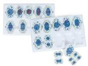 Gelsonlab HSBM-405 בעלי החיים מיטוזה ו מיוזה דגם - Product Image 3