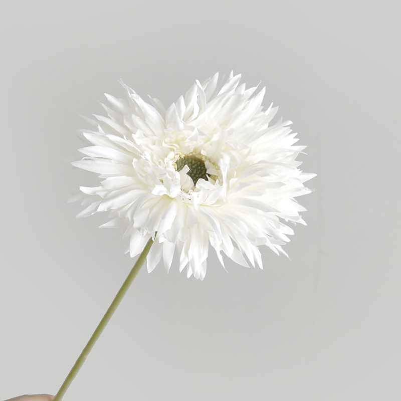 3-blanc
