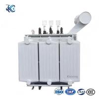 S22-3150/10-0.4KV 3 Faz Yağlı Tip Orta ve Yüksek Gerilim Endüstriyel Elektrik Trafosu, Fabrikadan Doğrudan Özel Siparişleri Destekler