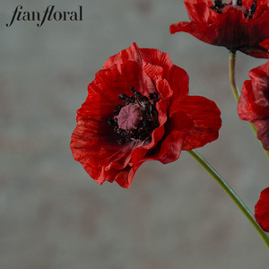 Fiori Artificiali Rossi a Stelo Singolo in Seta, Papaveri in Bulk per Decorazioni Matrimoniali Fai-da-Te, Centrotavola, Progetti Alberghieri, Vendita all'Ingrosso - Product Image 6