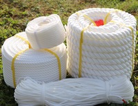 Corde d'amarrage tressée torsadée en polyester 3/4 brins de bateau marin en gros d'usine