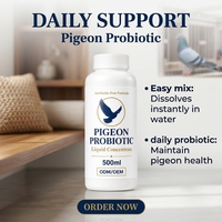 Probiotique Liquide Hydrosoluble pour Pigeons – Additif pour l'Eau Potable – Soutien à la Santé Intestinale – Bouteille de 500 ml pour Oiseaux de Course – Vente en Gros