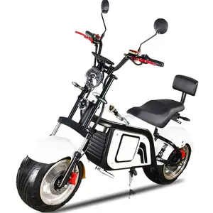 Over 100 Miles On Most Affordable E-Bike Folding Electric Bike Foldable Bicycle With Regenerative System