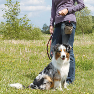 Taşınabilir Evcil Hayvan Eğitim Tıklayıcısı - Olumlu Takviye için Yüksek Sesli Dayanıklı Plastik Köpek Kedi Eğitim Aracı - Product Image 4