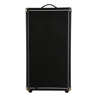 Speaker Bass Gitar Elektrik 100W Kualitas Tinggi Amplifier Speaker Gitar MICRO-CL/BA-100
