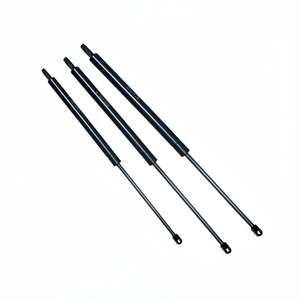 CILINDRO OLEOPNEUMÁTICO Carrera 300mm Fuerza 700 N (VO30/070) - Product Image 1