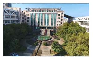 Tè Chunmee Atay 41022 Tè Verde Premium dalla Fabbrica the Vert De Chine per l'Africa del Nord Libia Algeria Marocco Tunisia Egitto - Product Image 6