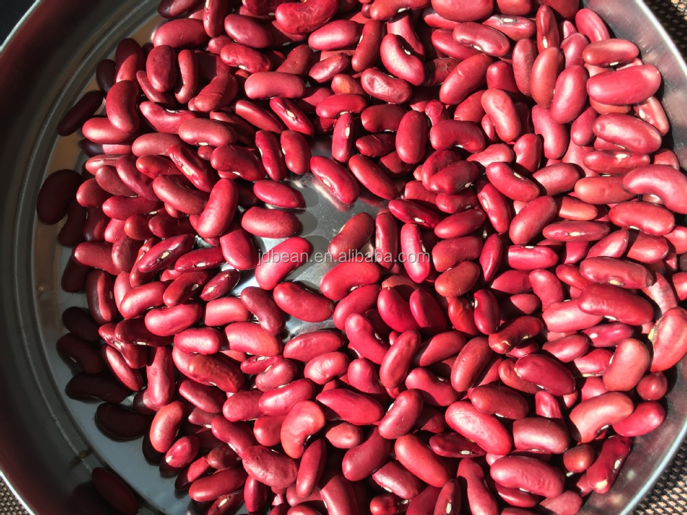 FAIZA RZ - Bean | Rijk Zwaan USA