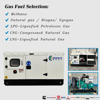 Générateur au méthane de 20 kW Biogaz/Gaz naturel Double carburant Moteur Cummins Haute productivité pour ferme/petite usine Silencieux OEM/ODM