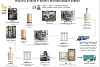 Chaîne de production de peptide de collagène de 1 tonne/h-extraction animale