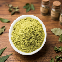 Poudre d'extrait doux de Neem Panchal Azadirachta Indica de qualité supérieure, extrait végétal botanique naturel pour mélanges de tisanes fonctionnelles