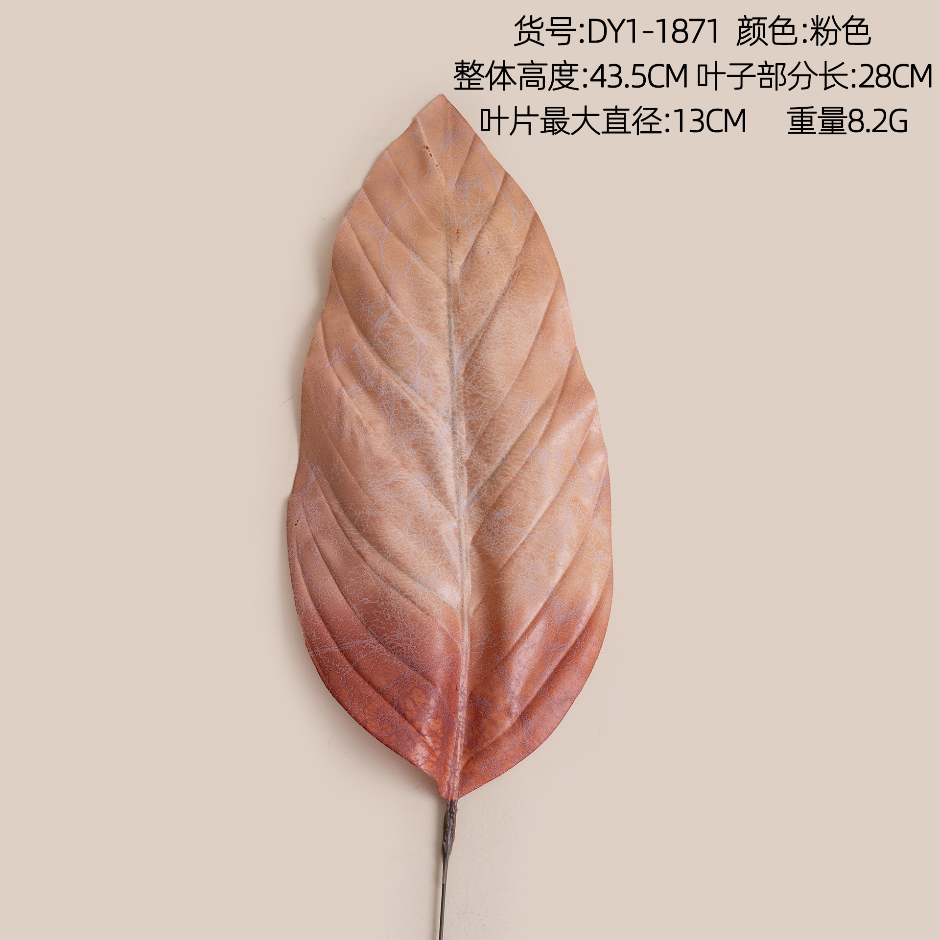 DY1-1871 Rose