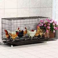 Cages à pigeons en métal simples, cloisons d'élevage, hangars de course, équipement de transport pour poulets de taille moyenne - Vente en gros fabricant