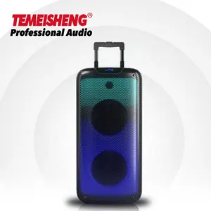 Temeishengプライベートデュアル8インチPAシステムステレオプロフェッショナル充電式スピーカー100ワットRMSパワーフレームライトパーティースピーカー