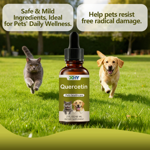 Gocce di Quercetina a Marchio Privato per Integratori per la Salute degli Animali Domestici, 60ml di Gocce Liquide Multivitaminiche - Product Image 4