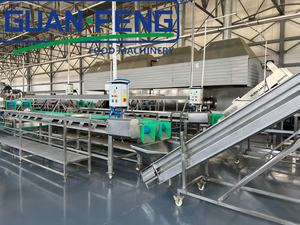 Ligne de production complète de séchage à bande transporteuse pour légumes industriels : gingembre, oignon, carotte - Product Image 2
