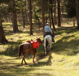 TrailMax Deluxe Cheval Sacoche Personnalisé Usine De Luxe Classique Résistant Aux Intempéries PVC Revêtement Polyester Trail Gear Durable Fermeture À Glissière - Product Image 2