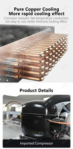 การควบคุมอุณหภูมิอัจฉริยะเครื่องอายุเนื้อสเต็กอายุตู้เย็นตู้เย็นอุตสาหกรรมเชิงพาณิชย์แห้งอายุ - Product Image 5