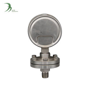 게이지 압력 100mm 부식 방지 스테인리스 스틸 다이어프램 압력 게이지 0-160KG 범위 및 1년 보증 - Product Image 2