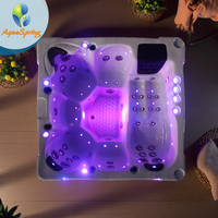 Spa extérieur de jardin en acrylique de qualité supérieure pour 6 personnes, jacuzzi avec lumières LED