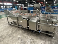 Commerciële fruit- en groentewasser, industriële groente-ozonbel-wasmachine