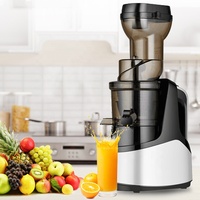 Electromenager Professionele Citruspers Horizontale Commerciële Slow Juicer Fruit Juicer Blenda