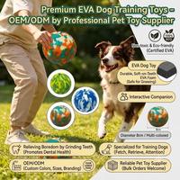 Jouet à mâcher interactif pour animaux de compagnie, balle en EVA écologique tie-dye pour l'entraînement quotidien et les jeux de rapport, jouets à mâcher pour animaux de compagnie pour toutes les races de chiens