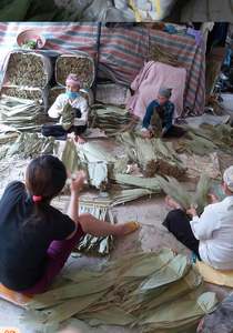 Feuilles de bambou séchées au soleil 100% naturelles pour la fabrication de gâteaux, prix compétitif, grande taille 9 cm et plus, feuilles de bambou séchées du Vietnam - Product Image 6