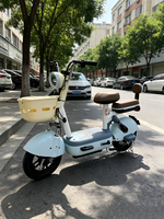 Vélo Électrique de Ville pour Adultes, Vente en Gros Usine, 350W 48V, Batterie au Plomb, Cadre en Acier à Haute Teneur en Carbone, Autonomie 55-65km, Deux Roues