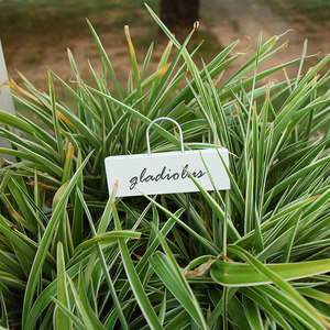 50-Pack Nhà Máy Kim Loại Nhãn 10.6 "Vườn Markers Tái Sử Dụng Nursery Thẻ Cho Rau Thảo Mộc Hoa Nhà Kính - Product Image 6