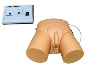医療トレーニング用の安価な電子式男性/女性尿道カテーテル挿入および浣腸モデル、ISO認証取得済み - Product Image 4