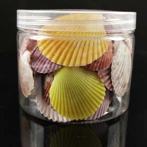 20PCS Colorful Natural Seashells Decorations Scallop <strong>Shells</strong> Crafts Decor <strong>Ornament</strong> - Product Image 5