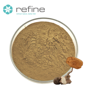 Tiger-Milchpilz-Extrakt-Pulver 30% Polysaccharide Lignosus Rhinocerus Extrakt Großhandel - Product Image 2