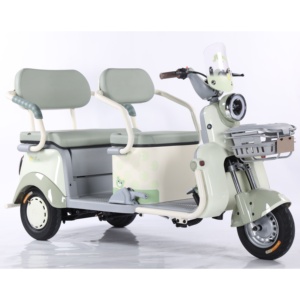 Triciclo Eléctrico con Motor sin Escobillas Abierto para 3 Pasajeros, Moto de Cross de 3 Ruedas para Adultos - Product Image 3