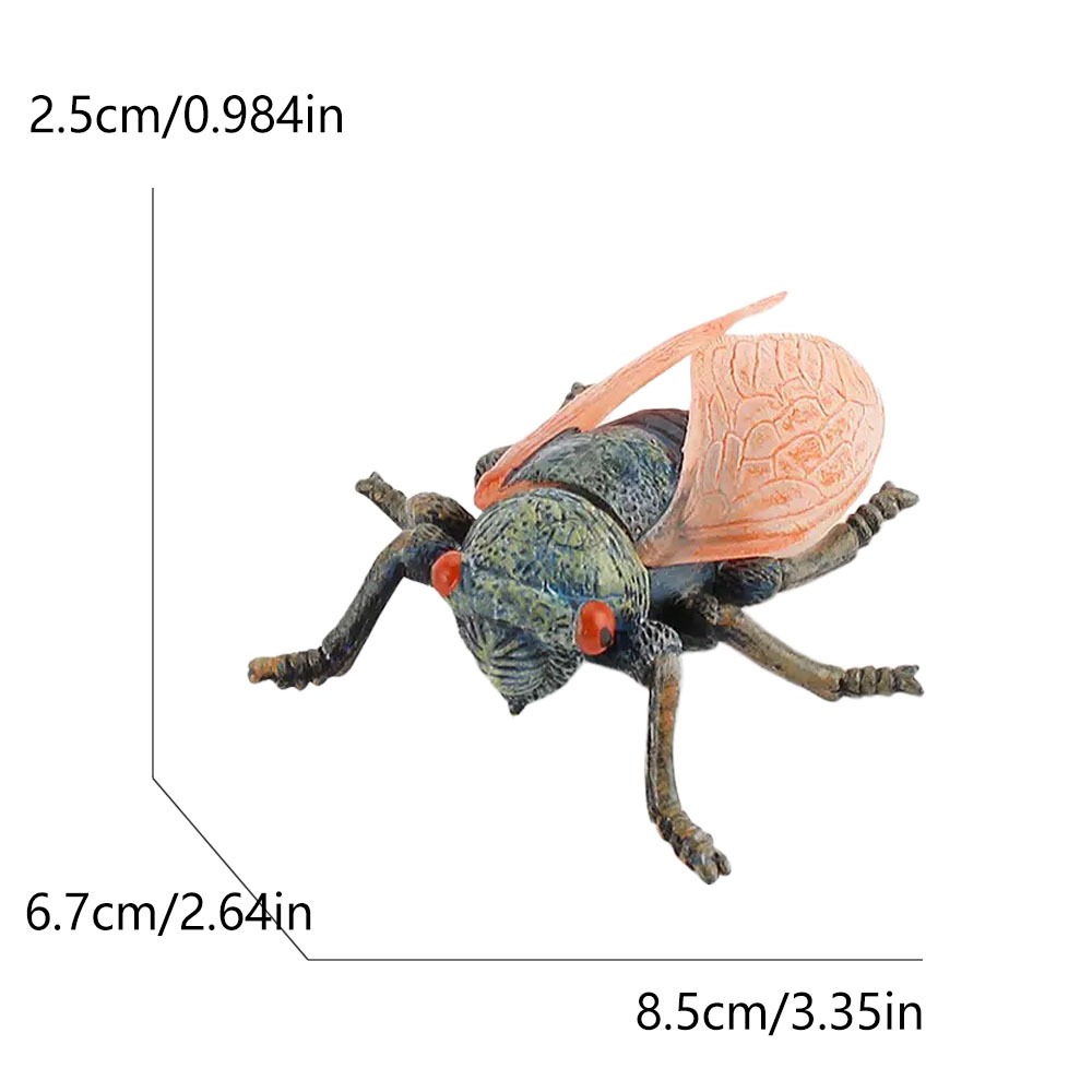 1456-284g cicnow