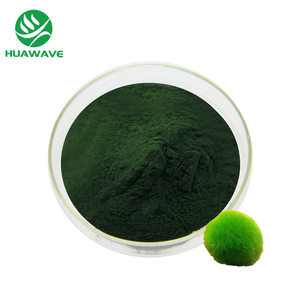 Polvo de Chlorella de algas orgánicas superalimento verde de Venta caliente - Product Image 1