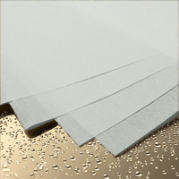 Papel de Arte de Alta Calidad con Acabado Brillante/Mate, Papel Recubierto C2S de 250g 350g, Cartulina FBB Recubierta, Papel Recubierto por Una Cara