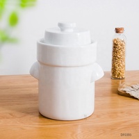 Pot de Fermentation en Céramique de 3,5 Litres avec Joint d'Étanchéité en Porcelaine pour Sauerkraut et Kimchi