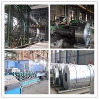 Hochwertige Großhandel-Aluminiumblech-Spule Rolle verzinkte Aluminium-Magnesium-Spule