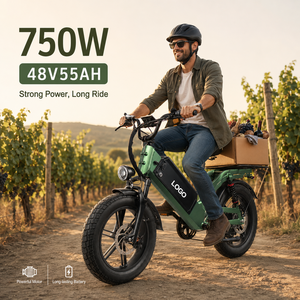 D55 Large Capacity <b>Electric</b> Bike 750W 48V55Ah 20" Fat Tire City Commuter 240km Range OEM Factory Direct - Product Image 1