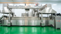 Nieuwe, zeer efficiënte productielijn voor aardappelchips & maïsfriet met verpakkingsmogelijkheden voor groenten, fabrieks prijs.