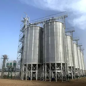 Silo Almacenamiento de granos 100t Galvanizado Alimentación para aves de corral Silo Silos metálicos Kenia