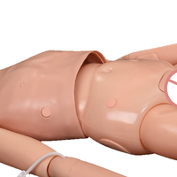 Modelo de enfermería humana maniquí de enfermería multifunción Simulador de entrenamiento de Enfermería Médica caja de cartón Material de PVC personalizado