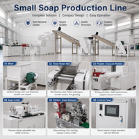 Machine de fabrication de savon à lessive 100-500 kg/h pour la production industrielle avec un ROI élevé