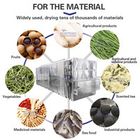Tunnel Continue Oven Industriële Groenten Kurkuma Dehydrator Gedehydrateerde Ui Komkommer Droger Machine Voor Knoflook Aardappel